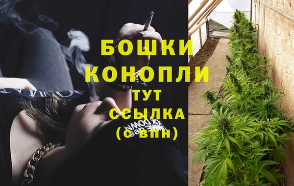 ешки Верея