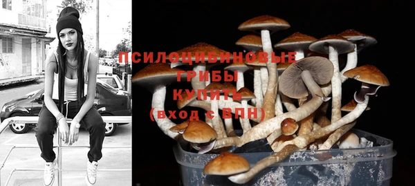 дмт Володарск